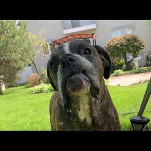 Meet your Posher, Brittney